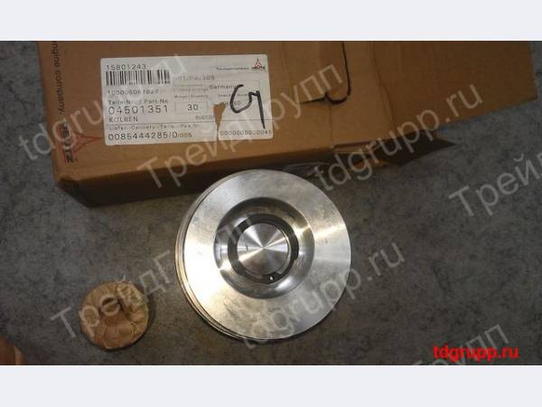 04501351 ������� � ����� Deutz BFM1013