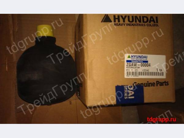 ZGAW-00004 ���������������� Hyundai