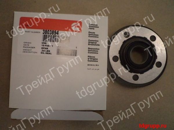 3803894 ������� ����� ����� Cummins