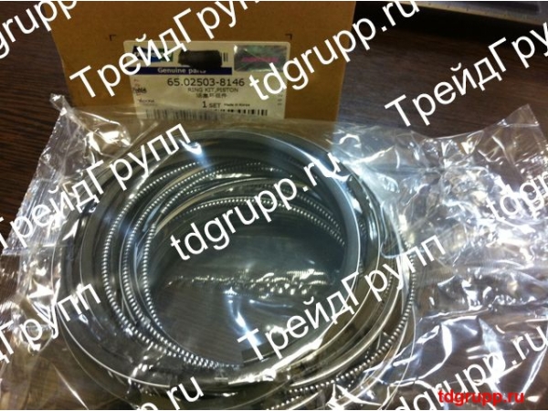 65.02503-8146 ������ ��������� Doosan