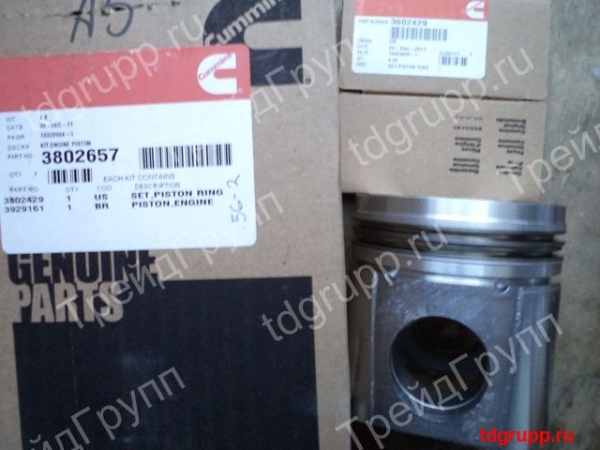 3802657 ������� � ����� Cummins