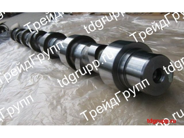 3066877 ���������� (Camshaft) Cummins KTA19