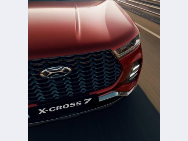 Wildberries ����� ������� ����������� ������ ����������� Xcite